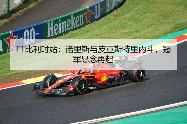 bi-li-shi-zhan-nuo-li-si-yu-pi-ya-si-te-li-nei-dou-guan-jun-xuan-nian-zai-qi-2-279.jpg