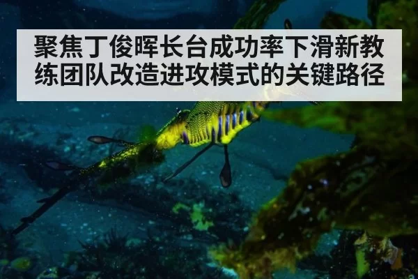 聚焦丁俊晖长台成功率下滑新教练团队改造进攻模式的关键路径